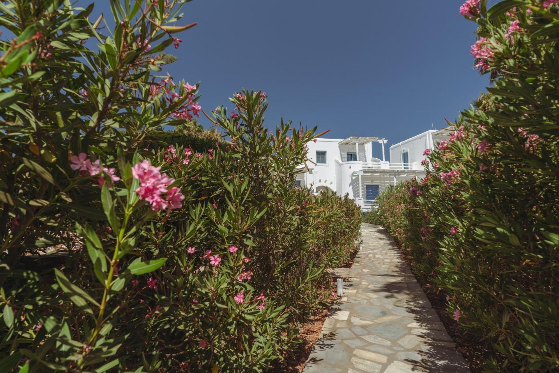 Palm Heaven Boutique Apartments Antiparos Town Eksteriør bilde